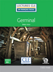 Germinal lecture fle niveau b1