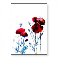 Carte postale coquelicot