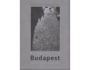Budapest fenyrajzok
