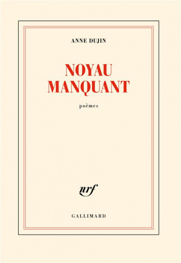 NOYAU MANQUANT - DUJIN ANNE - GALLIMARD