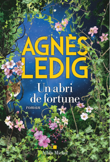 Un abri de fortune - Ledig Agnès - ALBIN MICHEL