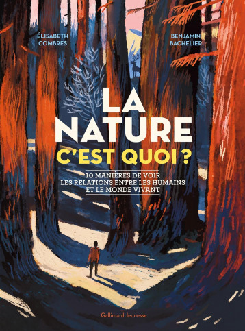 La nature c'est quoi ? - Combres Élisabeth, Bachelier Benjamin - GALLIMARD JEUNE