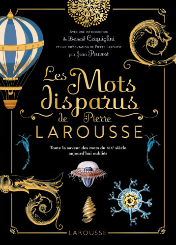 Les mots disparus de Pierre Larousse - Collectif  - LAROUSSE